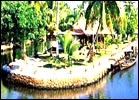 Coir Village Lake Resort, Coir Village Lake Resort Alleppey, Hotel Coir Village Lake Resort, Hotels in Alleppey Kerala