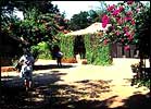 Bandhavgarh Jungle Lodge, WH Bandhavgarh Jungle Lodge Bandhavgarh, Hotels in Bandhavgarh Madhya Pradesh