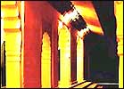 Bagh Resort Bharatpur, Hotel Bagh Resort Bharatpur, Hotels in Bharatpur 