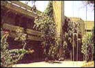 Bharatpur Forest Lodge, Hotel Bharatpur Forest Lodge, Hotels in Bharatpur
