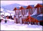 Asia-the Oasis Resort, Asia-the Oasis Resort Jammu, Hotels in Jammu 