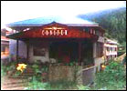 Conifer Hotel, Conifer Hotel Manali, Hotels in Manali