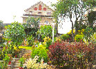 Cama Rajputana Club Resort, Cama Rajputana Club Resort Mount Abu Hotels in Mount Abu 