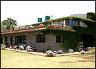 Cedar Lodge, Cedar Lodge Nainital, Hotels in Nainital