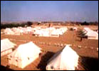 Royal Desert Camp, Royal Desert Camp Pushkar, Hotels in Pushkar 