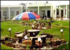 Pugmark Resort, Pugmark Resort Ranthambore, Hotels in Ranthambore
