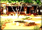 Tiger Moon Resort, Tiger Moon Resort Ranthambore, Hotels in Ranthambore