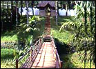 Shalimar Spice Garden